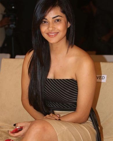 Ghaziabad Call Girls service